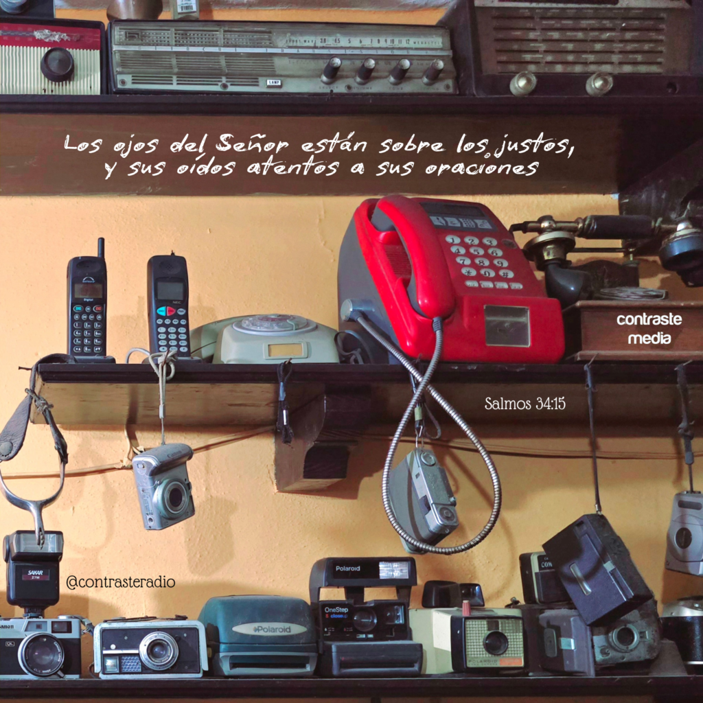 image_editor_output_image1135227631-1743676217161.png